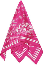 Load image into Gallery viewer, Hot Pink Silk Bandana
